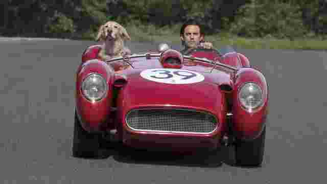 “雨中赛车的艺术”是一部关于汽车和狗的电影